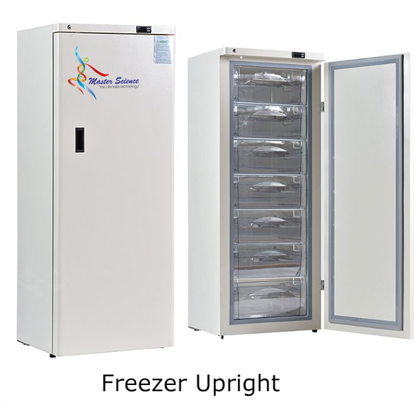 Freezer Upright, 278L, Temperature -10℃ to -25℃